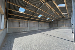 duiven-5